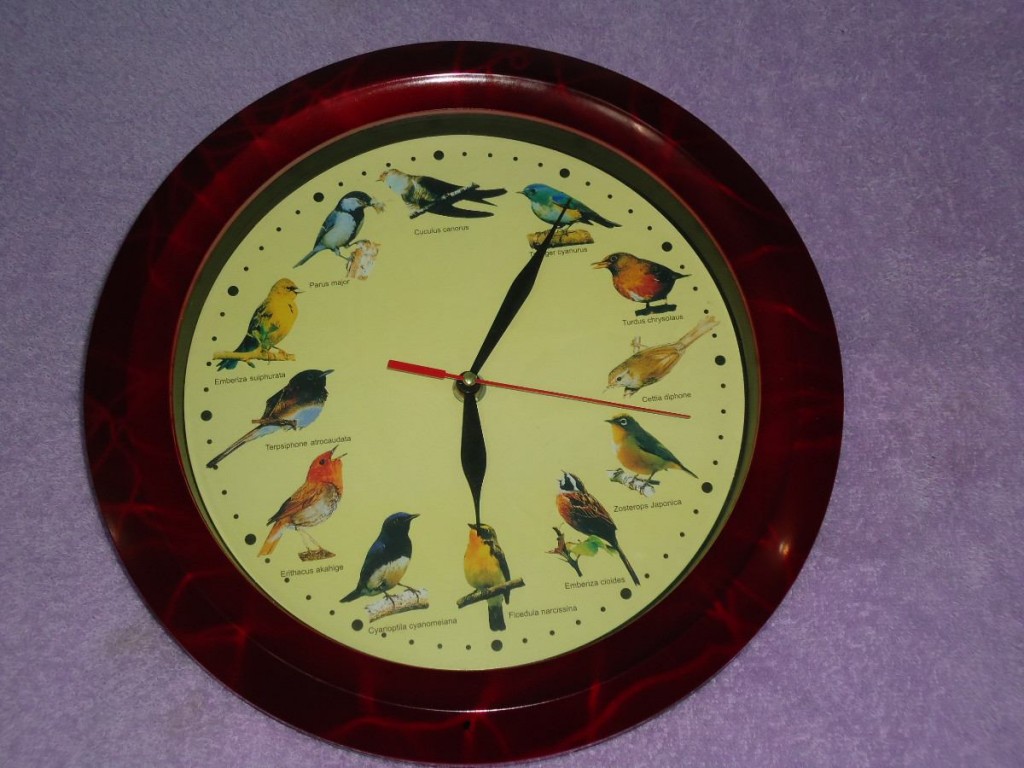 O Relógio Que Canta